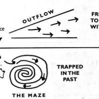 AMA: What is the biggest challenge for young people in&nbsp;Guernsey?